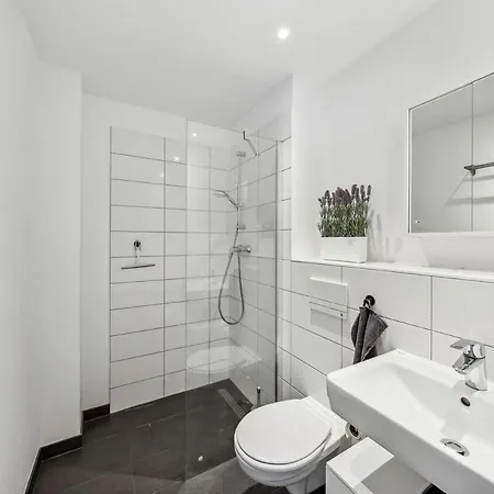 Moderne 2-zimmer-neubauwohnung Mit Doppelbalkon *